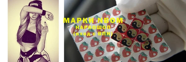 ешки Горняк