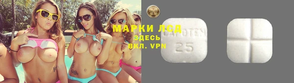 дживик Гусь-Хрустальный