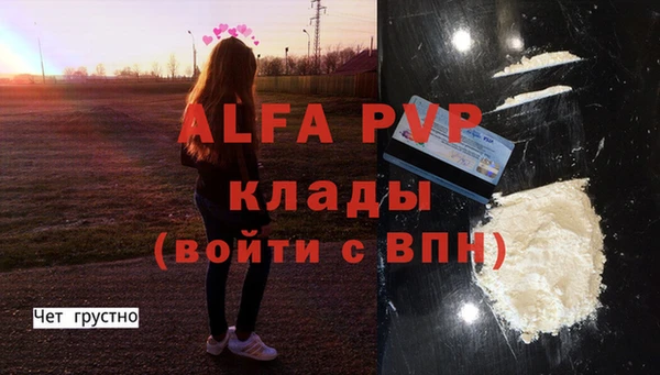дживик Гусь-Хрустальный