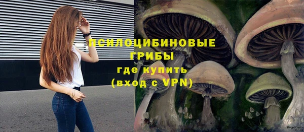 дживик Гусь-Хрустальный