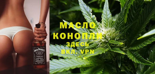 дживик Гусь-Хрустальный
