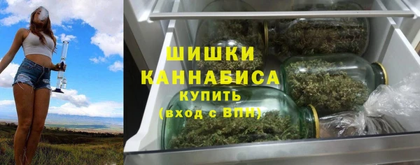 дживик Гусь-Хрустальный